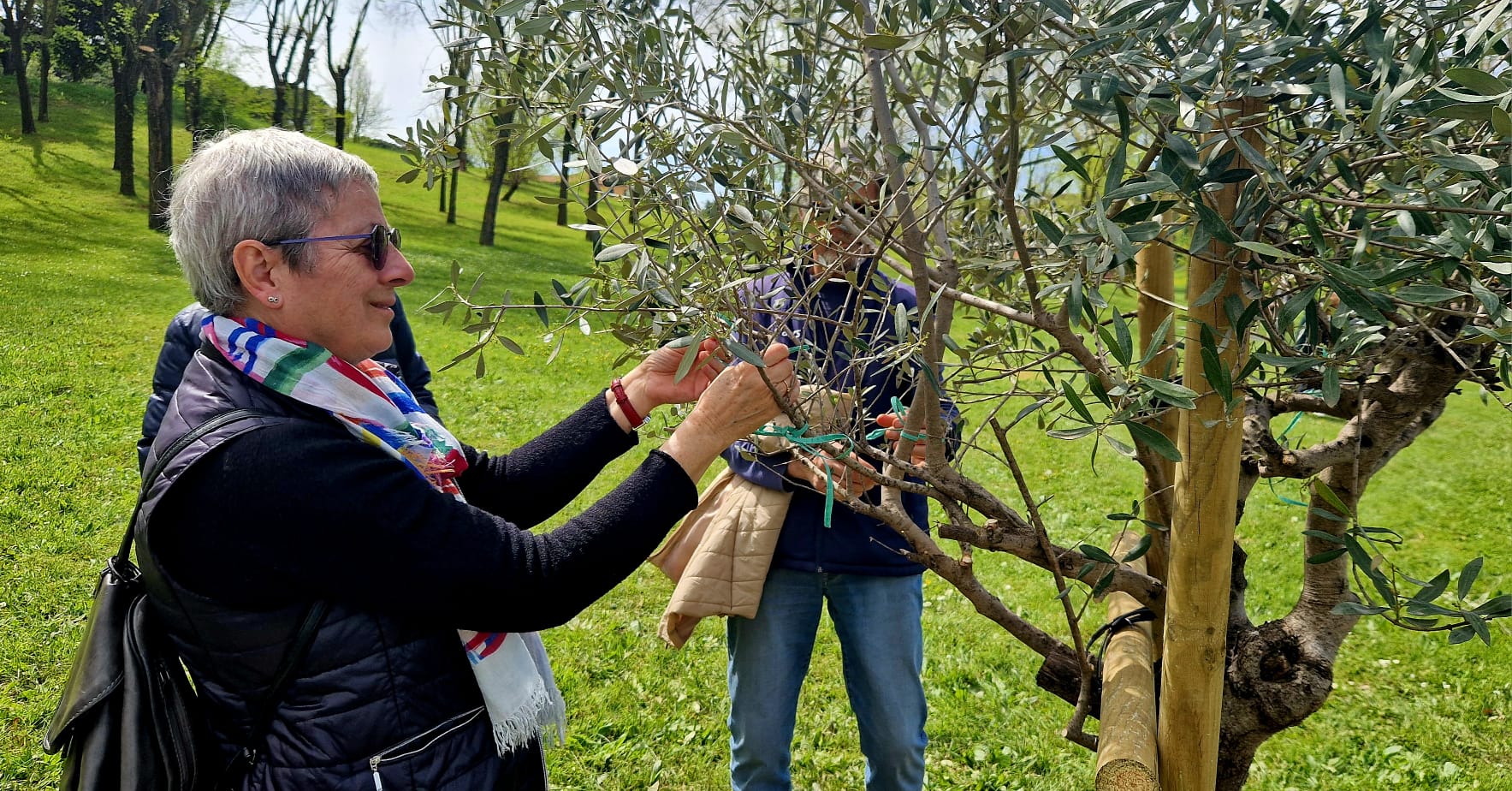 MATTEOTTI TRA I GIUSTI nel Giardino dei Giusti dell’Umanità in Roma. Giovedì 11 aprile alle ore 10:30, presso il Giardino dei Giusti dell’Umanità di Roma, in villa Pamphilj (ingresso via della Nocetta, 30) si è tenuta la cerimonia per il riconoscimento di nuovi Giusti, tra i quali figura da quest’anno Giacomo Matteotti, nell’ambito delle celebrazioni legate alla Giornata dei Giusti dell’Umanità